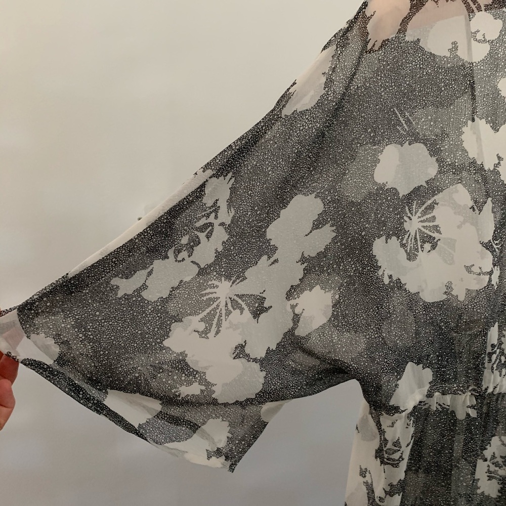 Daniel Rainn Sheer Blouse - Picture 9 of 9